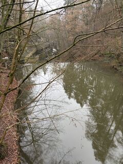 Zdjęcie z Andre Scherzer wzdłuż trasy