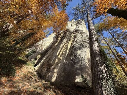 Foto de Robert Meier a lo largo del recorrido