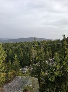 Fotografia z Wollomator na trase