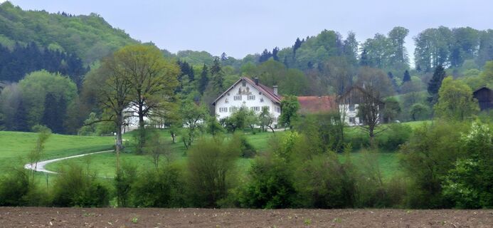 Fotografia z Thomas Schekira na trase