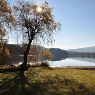 Strussnigteich