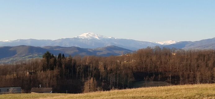 MOLTE CIMONE (mt. 2165 slm.) INNEVATO