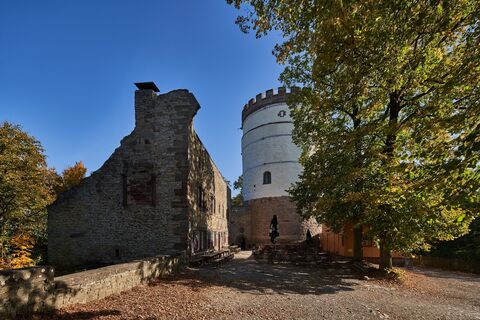 Burg Plesse