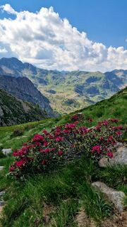 Photo de Fabrizi Mellano le long du parcours