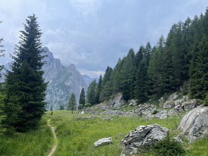 Fotografie z Enrico Sandri na trase
