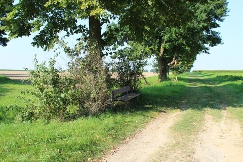 Langer Patt Bad Sassendorf-Gabrechten Richtung Heppen