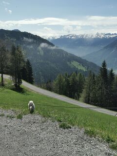 Fotografija s spletne strani Waldläufer na poti
