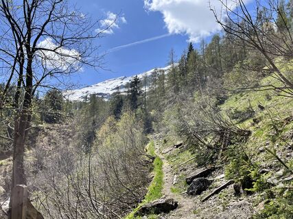 Foto von Kerstin Albrecht entlang der Tour
