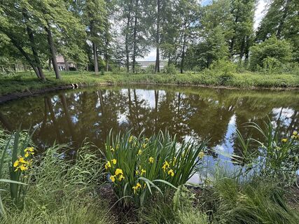 Fotografija s spletne strani martinpronk na poti