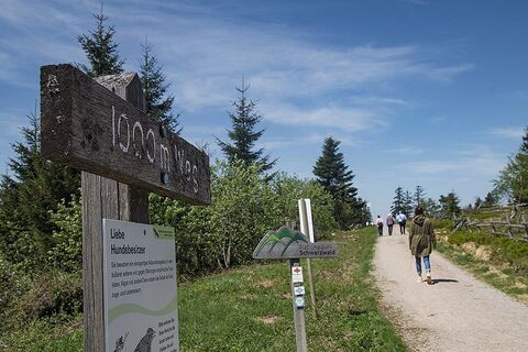1000m Weg beim Schliffkopf