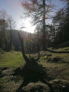 Foto von Dagmar Hofer entlang der Tour