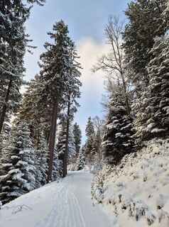 Foto von Markus Christen entlang der Tour