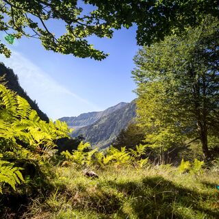 Wandern