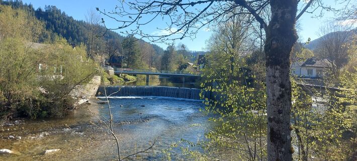 Fotografia z Klaus Gruber 3 na trase