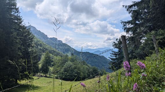 Foto von Klaus Lehner entlang der Tour