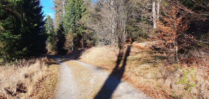 7.7 km Schräg rechts auf Karrenweg