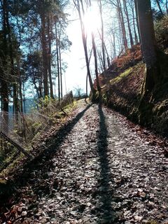 Foto von Lisa Pimminger 1 entlang der Tour
