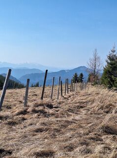 Foto von Mimi entlang der Tour
