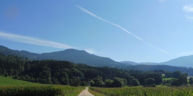 Blick Schoberkogel
