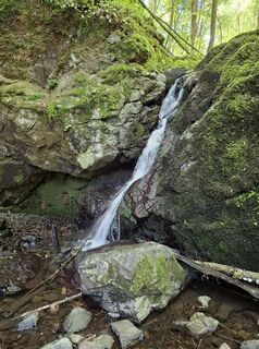 Photo de nordbergschnecke le long du parcours
