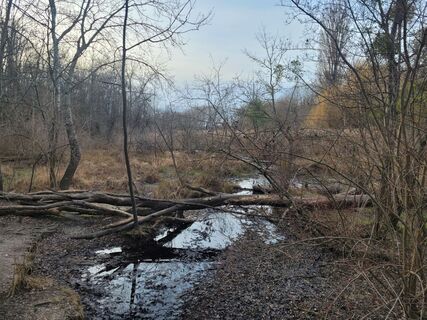 Fotografia z mmecki na trase