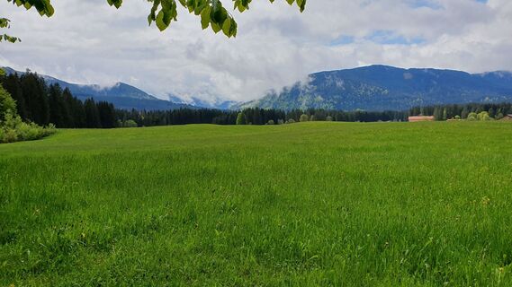 Foto von Thomas Schekira entlang der Tour