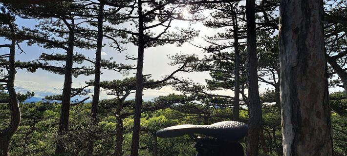 Fotografia z Stefan Haller 4 na trase