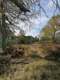 Fotografie z Dagmar Hofer na trase
