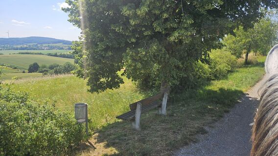 Fotografia z Sandjago na trase