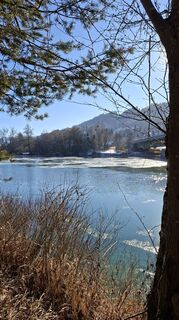 Photo de Mangolein le long du parcours