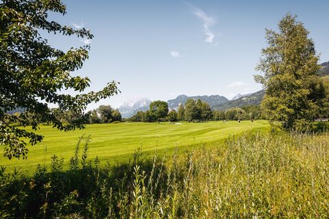 Golfplatz_c-Thomas Sattler_TVGesaeuse_23-web.jpg