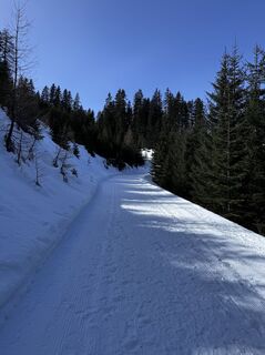 Fotografija s spletne strani Gábor Steffer na poti