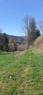 Photo de Bernard Piat le long du parcours