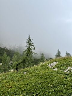 Fotografia z Dedanieldeboer na trase