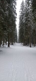 Fotografija s spletne strani Luka Rus na poti