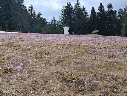 Foto de Romek Dwornik a lo largo del recorrido