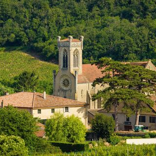 PEB_Solutré-Pouilly_082