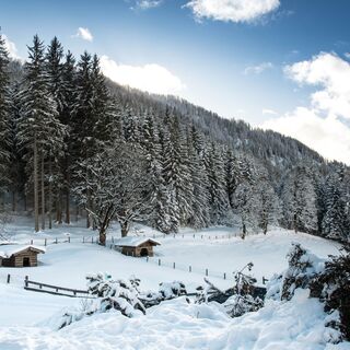 Streichelzoo beim Sattelbauer im Winter