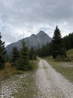 Fotografia z M Kremsi na trase
