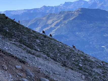 Foto von Martin Weichbold entlang der Tour