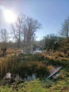 Foto von Kees Kalkman entlang der Tour