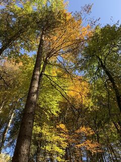 Fotografia z Koen De Wit na trase