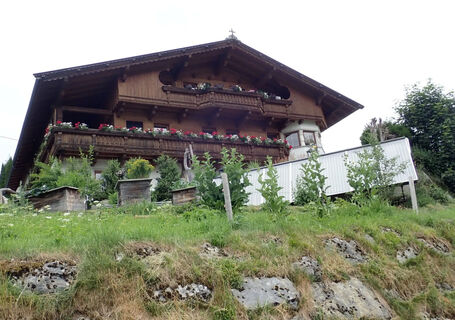 Ferienwohnung Pusteblume