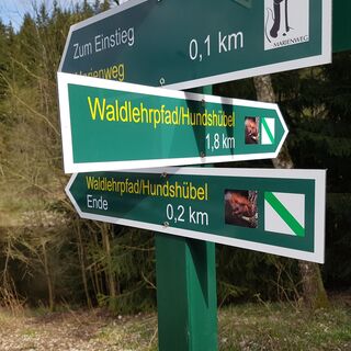 Waldlehrpfad Hundshübel
