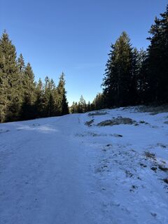 Foto von Theresa Marte entlang der Tour