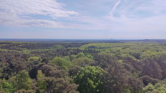 Fotografija s spletne strani Anne PZ na poti