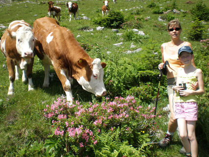 Auf der Alm