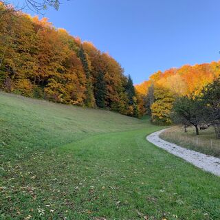 Feldweg Hemmental