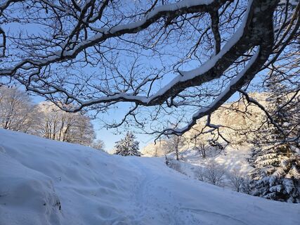 Foto de GerhardAho a lo largo del recorrido