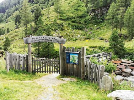natur-und-kulturlehrweg-oberhauser-zirbenwald-c-gabi-innerhofer.jpg